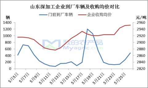 “玉米市場漲看山東，跌看廣東”這句老話如今還適用嗎？