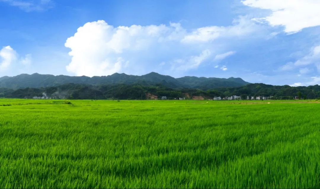 宜春吹響加快富硒產(chǎn)業(yè)發(fā)展集結(jié)號